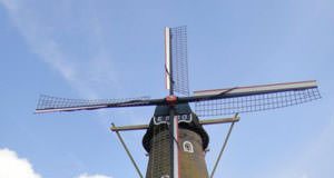 Toplum Gönüllüleri Kulübümüz Beykoz Hayvan Barınağı’nı Ziyaret Etti