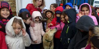 Minik Eller Hayvan Dostları için Yine İş Başında!