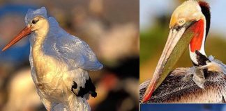 Terakkili Öğrencinin Kendisi ve Çevresi İçin Başlattığı Change.org Kampanyası