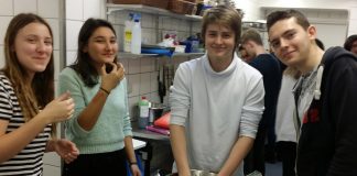 Danimarka Öğrenci Değişim Programı 2015/2016