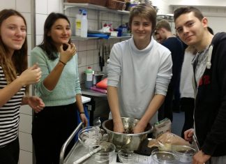 Danimarka Öğrenci Değişim Programı 2015/2016