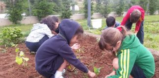 Terakkililerin Dünya Çevre Günü