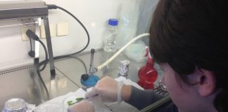 Terakkili Geleceği Yapılandırır