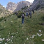 toroslargezi6