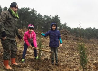 Terakki Anı Ormanımızı Oluşturduk