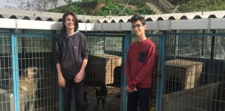 ARANIYOR: SEVGİ VE İLGİ