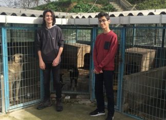 ARANIYOR: SEVGİ VE İLGİ