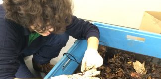 Ortaöğretim Seviyesinde “Haber Niteliği Taşıyan” Tek Proje Terakki’dendi