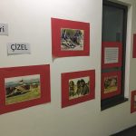 IMG_0659