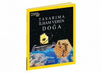 Tasarıma İlham Veren Doğa: Biyomimikri