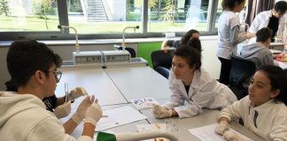 Düşle Düşme’de Permakültür ve Kimya Atölyeleri