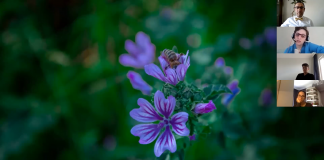 Bilimden Keyif Almak: Bir Bilim İnsanının Serüveni