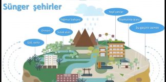 Düşle Düşme “Sosyal Sorumluluk ve Sürdürülebilir Şehirler” Çalıştayımız Gerçekleşti