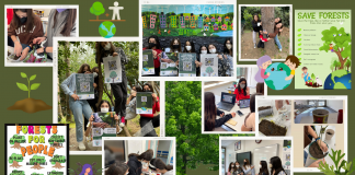 Terakkililer Uluslararası eTwinning Projesiyle Ormansızlaşmaya Çözümler Aradı