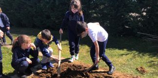 Terakkili Miniklerden “Biyoçeşitlilik” Üzerine Çalışmalar