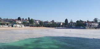 Lise Öğrencimiz Foto Röportajıyla Üçüncü Oldu