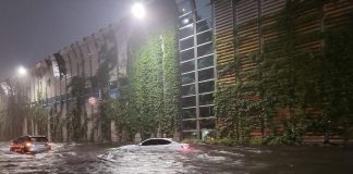 Terakkinin Genç Sözcüleri İklim Değişikliği Üzerine Yazdı