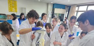 Terakki Laboratuvar Kardeşliği Projesi 10 Yaşında