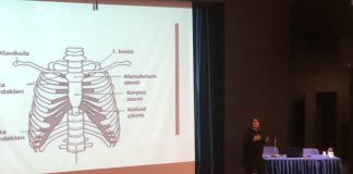 Söyleşi: Doç. Dr. Nilüfer Aykaç ile “Solunum Sistemi Sağlığı Üzerine”