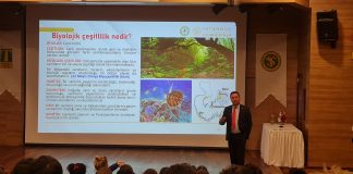 Söyleşi: Prof. Dr. Murat Demir’le Biyolojik Çeşitlilik ve Önemi