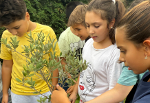 Öğrencilerimiz Okul Bahçesine Zeytin Ağacı Dikti