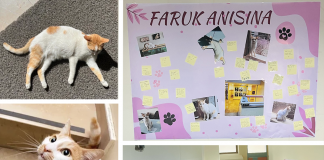 Kedi Faruk Aramızdan Ayrıldı: Terakki’de Anma Töreni