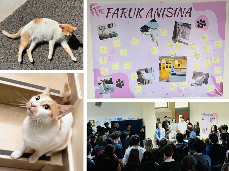 Kedi Faruk Aramızdan Ayrıldı: Terakki’de Anma Töreni