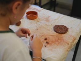 Öğrencilerimiz Hücreleri Bilimle Keşfederek Sanata Dönüştürdü