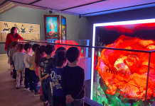 5 Yaş Öğrencilerimiz Türkiye İş Bankası Resim Heykel Müzesi’ni Ziyaret Etti