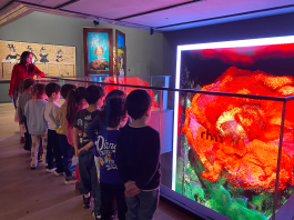 5 Yaş Öğrencilerimiz Türkiye İş Bankası Resim Heykel Müzesi’ni Ziyaret Etti