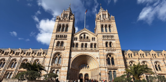 Ortaokul Öğrencilerimiz İngiltere Gezisindeydi